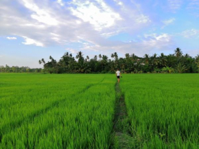 Viveka Inn Guest and Yala Safari